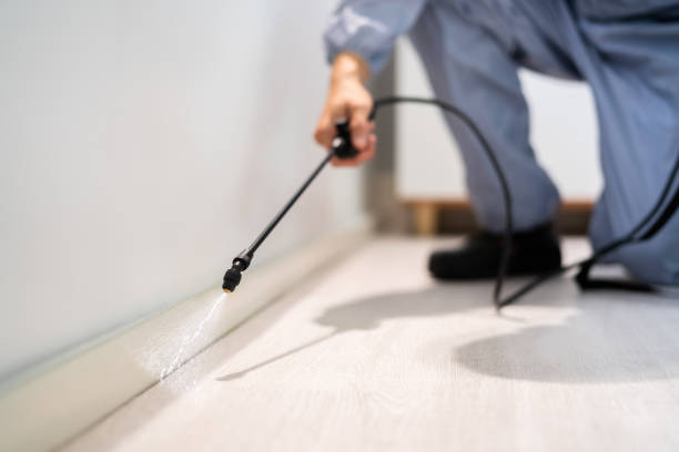Licensed Termite Control service in Jasmine Estates, FL - Nex Pest Control