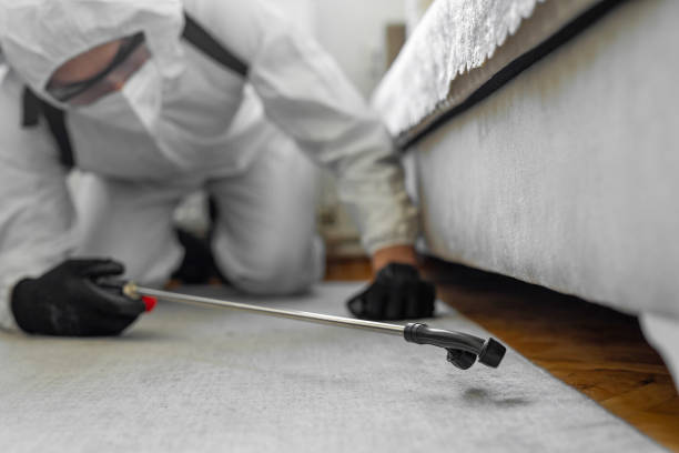 Professional Termite Control technician working in Jasmine Estates, FL