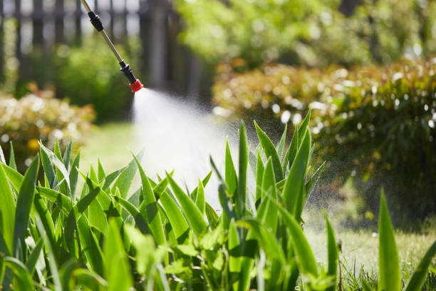 24/7 Emergency Termite Control experts in Jasmine Estates, FL
