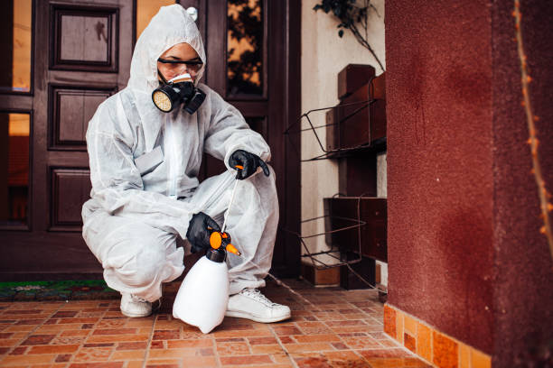 Reliable Termite Control contractor in Jasmine Estates, FL by Nex Pest Control